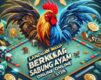 Panduan Lengkap Bermain Sabung Ayam Online di S128